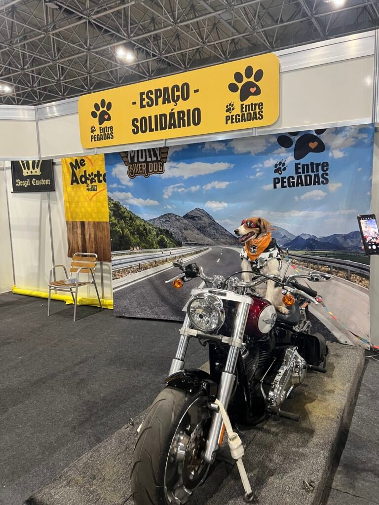 Festival Moto Brasil